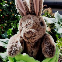 Marionnette lapin dans sa laitue