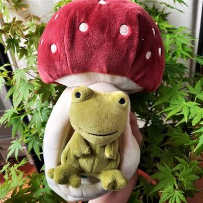 Doudou Grenouille et son champignon Jellycat