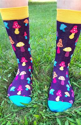 Chaussettes Champignons féériques