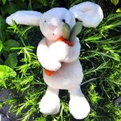 Peluche Jellycat Lapin Carotte - Bashful Carrot Bunny