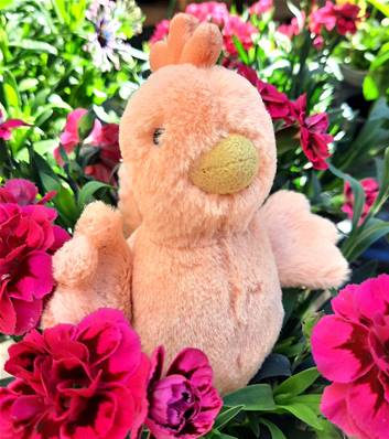 Peluche Jellycat Poule - Fluffy Chicken rose