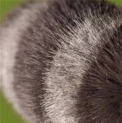 Peluche Jellycat trixiwoo raccoon