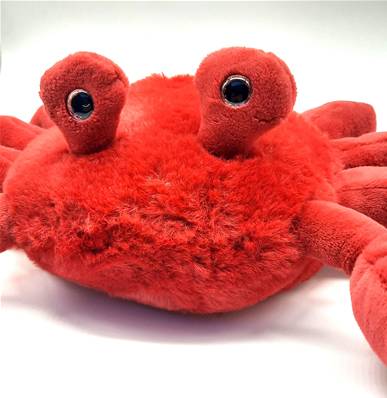Peluche crabe rouge
