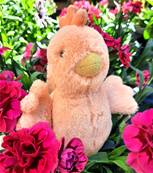 Peluche Jellycat Poule - Fluffy Chicken rose