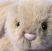 Peluche Jellycat Oat Flufflet Bunny