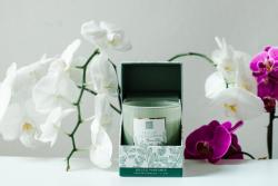 Bougie parfume EUCALYPTUS 190G dans boite cadeau