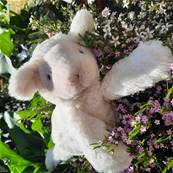 Peluche Jellycat Agneau - Smudge Lamb