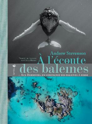 À l'écoute des baleines