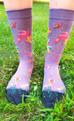 Chaussettes Oiseaux en Vol