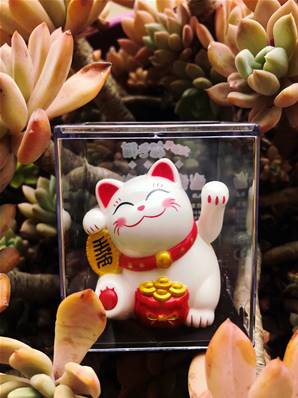 Chat Japonais Maneki Neko blanc solaire