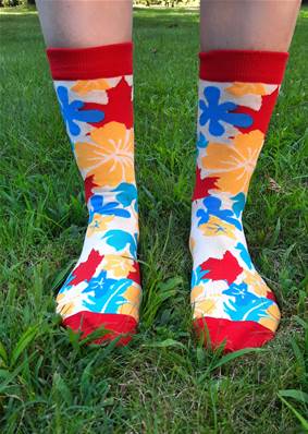 Chaussettes Fleurs d'ibiscus