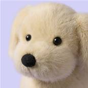 Peluche Jellycat chiot