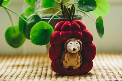 Peluche Hérisson dans son fruit Jellycat