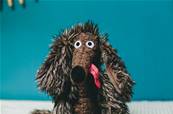 Peluche Chien pourri