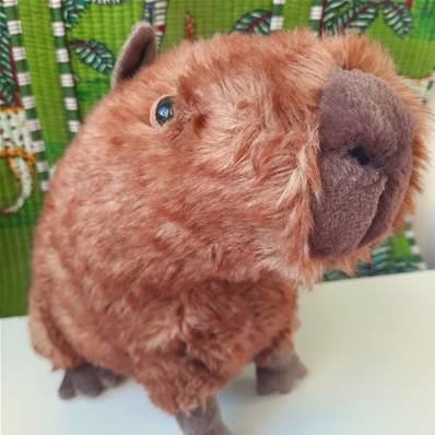 Peluche Jellycat Capybara - Clyde Capybara