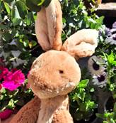 Peluche Jellycat Lievre - Horticus Hare