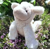 Peluche Jellycat Agneau - Smudge Lamb