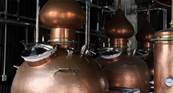 Whisky Japonais TOTTORI Bourbon barrel 50cl 43%