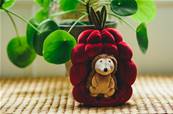 Peluche Hrisson dans son fruit Jellycat