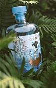 Gin Japonais ETSU 70 CL 40%