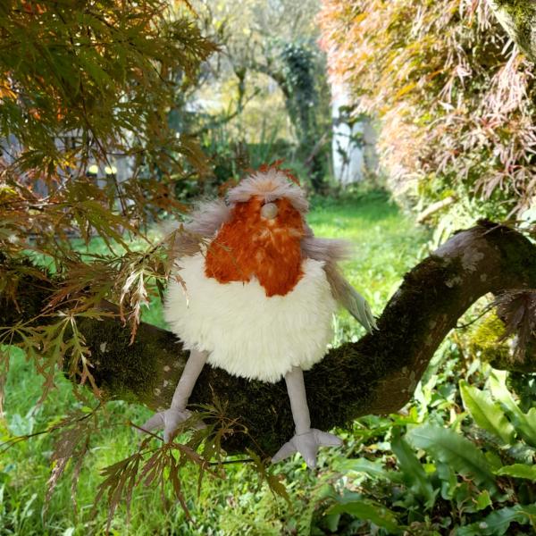 Rouge gorge Robin Wrendale