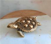 Tortue porte-bonheur en laiton