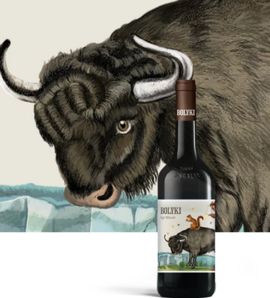 Vin rouge Hongrie Domaine Bolyki