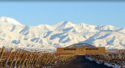 Vin rouge Argentine Altosur malbec