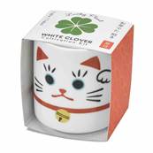 Kit de plantation trèfle Maneki Neko porte bonheur