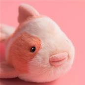 Peluche Jellycat poisson carpe FANCY CARP