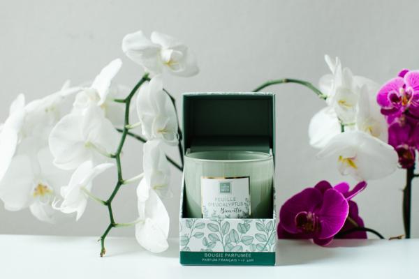 Bougie parfumée EUCALYPTUS 190G dans boite cadeau