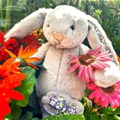 Peluche Jellycat Lapin - Blossom Silver Bunny 'Bloom'