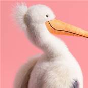 Peluche Jellycat Pelican KELI PELICAN