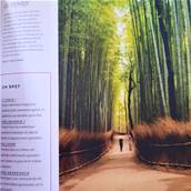 100 voyages de rêve - Editions Lonely Planet