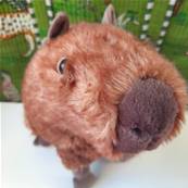 Peluche Jellycat Capybara - Clyde Capybara