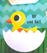 Où est bébé lapin ? – Livre à rabats en feutrine et miroir – À partir de 6 mois