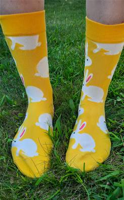 Chaussettes Lapins fond jaune