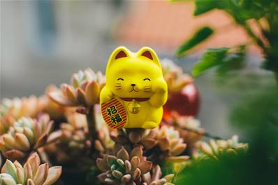 Chat Japonais Maneki Neko jaune Nami