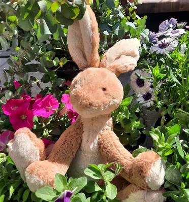 Peluche Jellycat Lievre - Horticus Hare