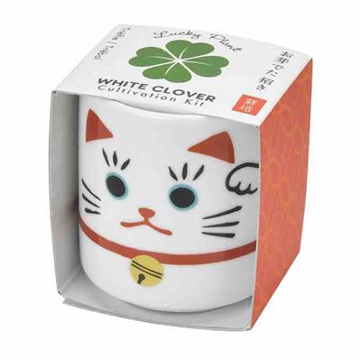 Kit de plantation trèfle Maneki Neko porte bonheur