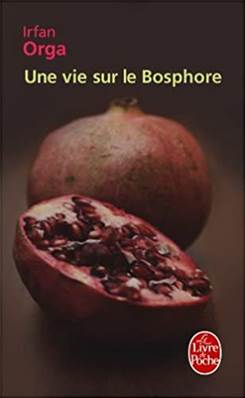 Une vie sur le Bosphore