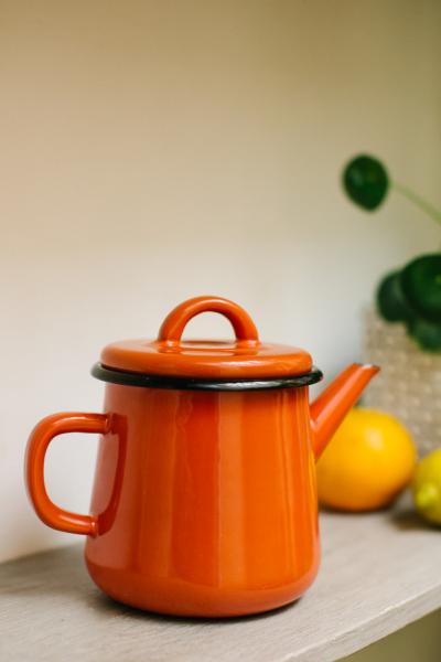 Théière En émail Multifonction Avec Poignée Et Sifflet