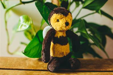 Doudou Abeille Jellycat