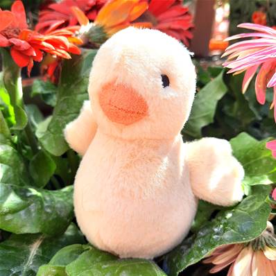 Peluche Jellycat Canard Jaune - Fluffy Duck