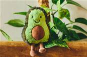 Doudou Avocat Jellycat