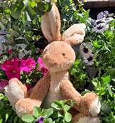 Peluche Jellycat Lievre - Horticus Hare