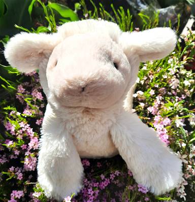 Peluche Jellycat Agneau - Smudge Lamb