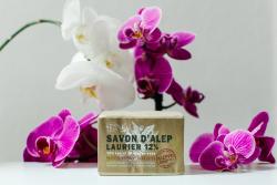 Savon d'Alep 12% laurier 200g BIO Tad�