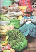 Saveurs de Lima: La cuisine péruvienne comme à la maison