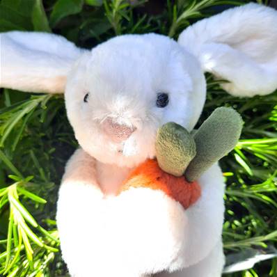 Peluche Jellycat Lapin Carotte - Bashful Carrot Bunny